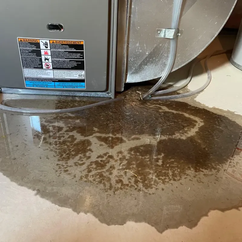 Appliance Leak Cleanup in Lexington, TN