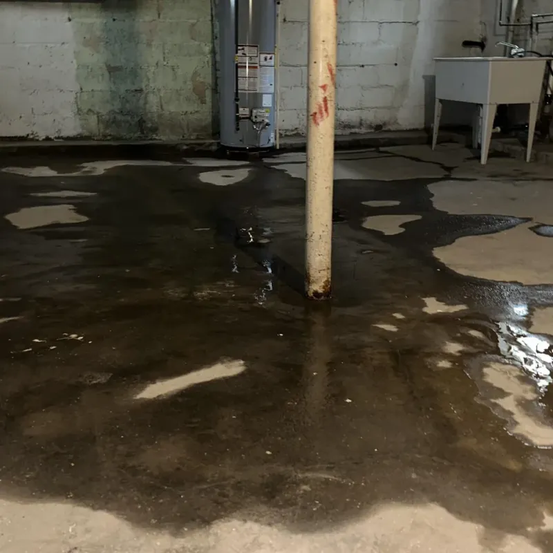 Emergency Water Extraction And Removal in Lexington, TN